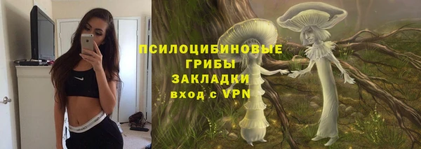 ГАЛЛЮЦИНОГЕННЫЕ ГРИБЫ Осинники