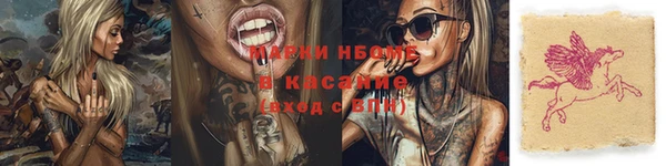индика Аркадак