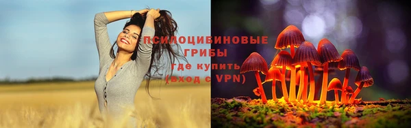 бутират Алексин
