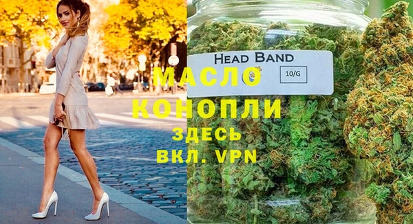индика Аркадак