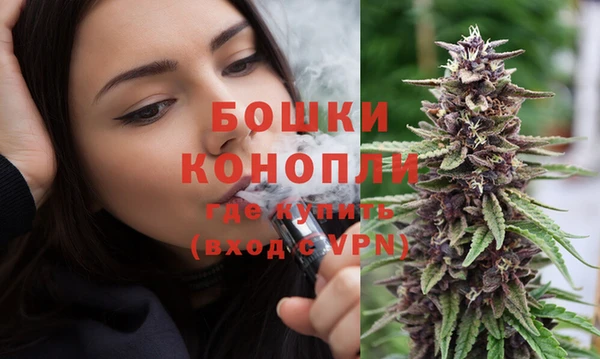 индика Аркадак
