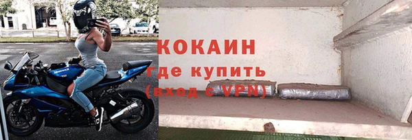 индика Аркадак