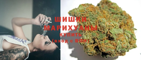 индика Аркадак