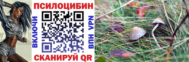 Псилоцибиновые грибы Psilocybe  mega ТОР  Радужный 