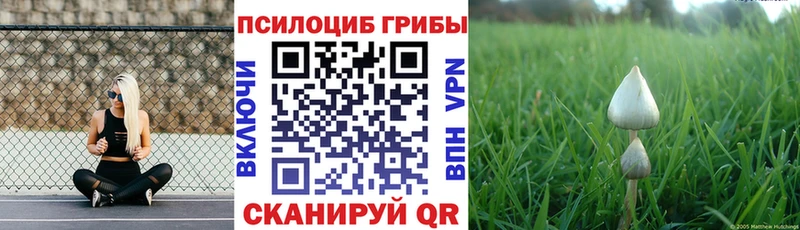 Галлюциногенные грибы GOLDEN TEACHER Радужный